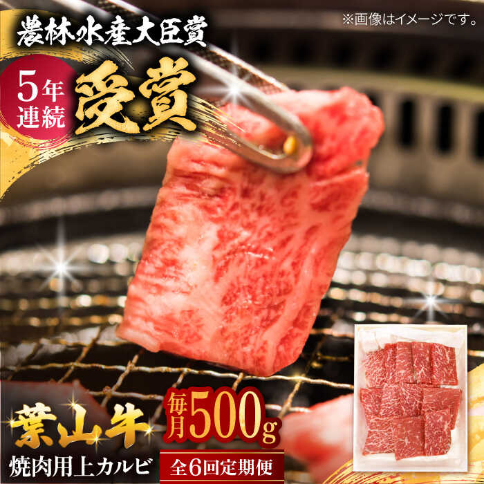 【ふるさと納税】【全6回定期便】 葉山牛 焼肉用上カルビ500g / 牛肉 牛 肉 お肉 国産 赤身肉 やきにく 焼き肉 カルビ かるび 上カルビ 上かるび BBQ ブランド牛 和牛 黒毛和牛 国産牛 贈答 ギフト 冷凍 葉山 定期 定期便 【有限会社葉山旭屋牛肉店】[ASAP045]