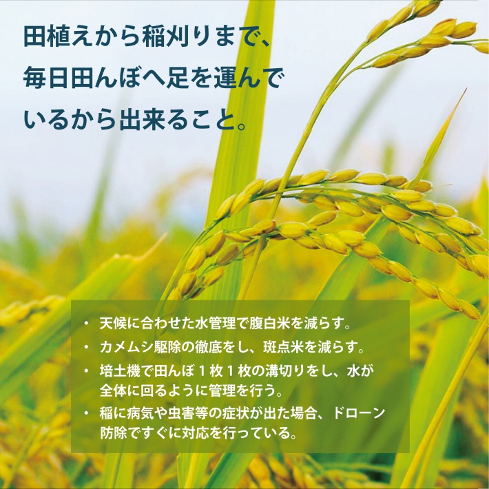 SE0454　令和7年産【精米】はえぬき　10kg(5kg×2袋) YA