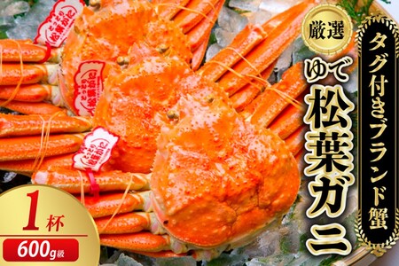 【厳選！！タグ付きブランド】茹で松葉かに 鮮度抜群、釜茹でにてお届け！！ 600g級×1杯（日本海山陰西部産） 蟹