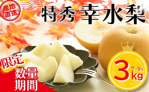 
【特秀】幸水梨3kg箱詰め　【04301-0603】
