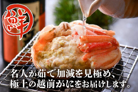 【先行予約】名人が茹でる とれたて指折れ越前がに(中) 2杯【3月発送分】 [J-4304_03]
