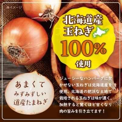 ふるさと納税 滝川市 北海道デミハンバーグ1食200g 9セット 北海道 冷凍 個包装 小分け |  | 02