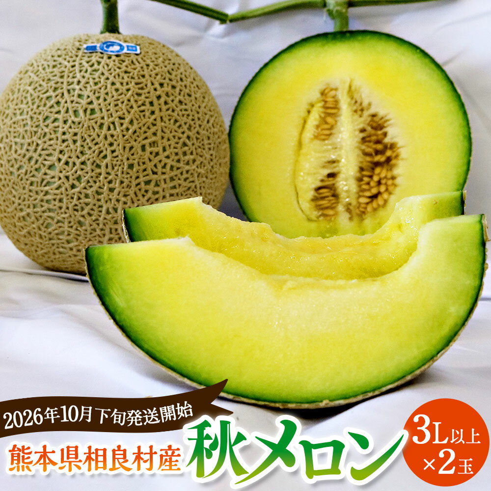 【ふるさと納税】【予約】相良村産 秋メロン 2玉 3L以上×2玉 アールスメロン【2026年10月下旬～11月上旬発送予定】 克己農園 熊本県産 糖度 メロン 青肉 フルーツ 果物 くだもの 果実 果肉 おやつ デザート 熊本県 相良村 先行予約 送料無料
