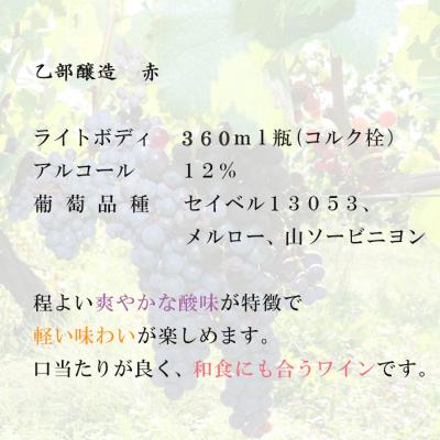ふるさと納税 乙部町 【乙部醸造ワイン　赤・白+ミスタ―ジンギスカン　ハーフボトル4本セット】北海道産　360ml×4本 |  | 01
