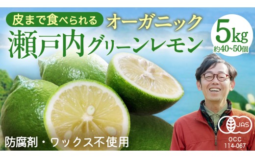 【 先行予約 】 瀬戸内 オーガニック グリーンレモン 5kg (40～50個程度) 【2026年10月以降発送】 レモン 有機JAS ワックス不使用 防腐剤不使用 国産 広島 選べる内容量 広島レモン 瀬戸内レモン 有機レモン ノーワックス 柑橘 産地直送 中原観光農園 大崎上島