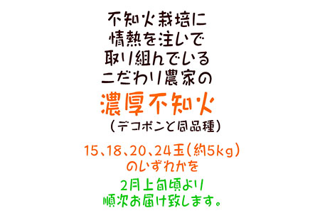 【先行予約】こだわり農家の濃厚不知火（デコポンと同品種） 15～24玉（約5kg）| デコポン 不知火 でこぽん しらぬい 柑橘 5kg 果実 フルーツ 先行予約 冬 農家直送 濃厚 ※2026年2月