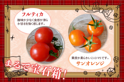 カラフルトマト 箱入り 5品種詰め合わせ 750g ひと口食べたらくせになる！｜ミックス 甘い プレゼント 贈り物 ギフト [1041]