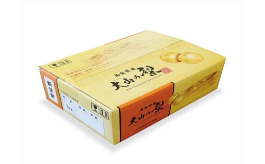 【赤秀】鳥取県産　新甘泉３ｋｇ（８～９玉）【髙島屋選定品】