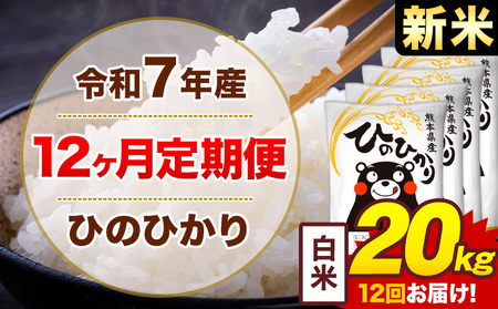 【12ヶ月定期便】令和7年産 新米 白米 20kg 米 ひのひかり《1月から出荷開始》熊本県 菊池市 国産 熊本県産 白米 精米 無洗米 送料無料 ヒノヒカリ こめ お米