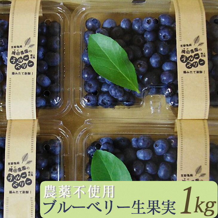 【ふるさと納税】【先行予約】＜すだ農園＞栽培期間中農薬不使用 朝摘み ブルーベリー 生果実 1kg◇ ｜ 果実 新鮮 フルーツ ※北海道・沖縄・離島への発送不可 ※2026年7月上旬～8月中旬頃に順次発送予定 ☆月間MVPふるさと納税賞 第1号（2020年10月）・SDGs未来都市亀岡