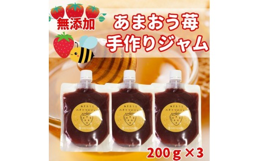 いちごジャム 無添加 あまおうとハチミツのジャム 200g×3袋 手作り 国産 チューブ パウチ入り