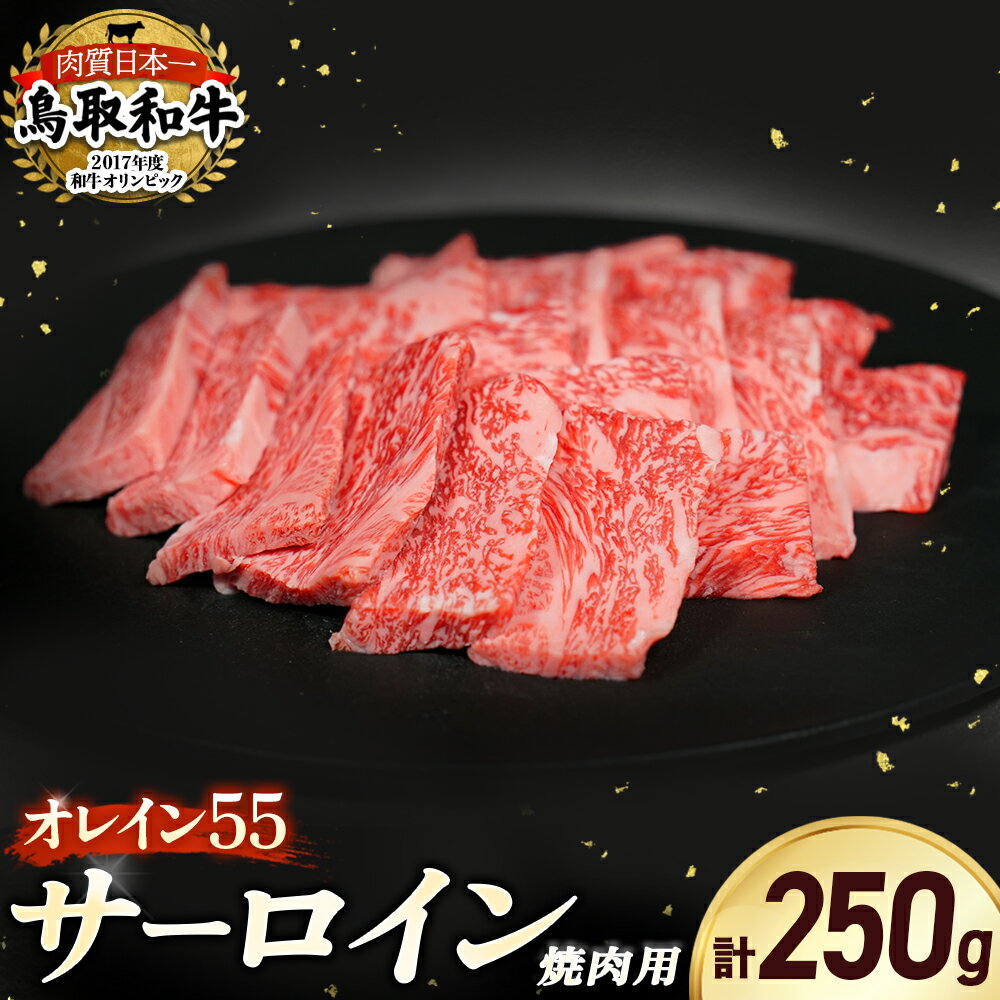 【ふるさと納税】鳥取和牛 オレイン55 サーロイン 焼肉用 国産 牛肉 肉 和牛 サーロイン 焼き肉 黒毛和牛