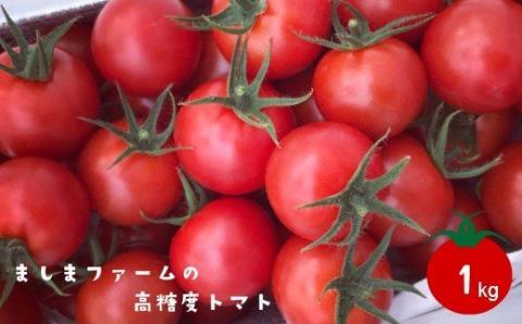 【毎年12月～7月頃発送】高糖度ミニトマト＜約1kg＞ 秀品 フルティカ【化粧箱入／プレゼント・ギフト・贈答用に】小分けパック アイメックR ましまファーム フルーツトマト  牧野富太郎博士の好物