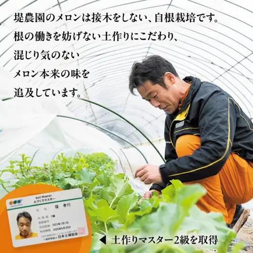 高評価★4.8【先行予約】茨城県産赤肉メロン4-5玉 (2026年5月下旬から発送開始) | ほのかメロン