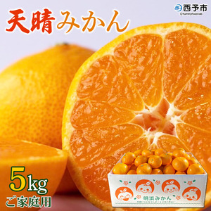先行予約＜愛媛県明浜産 天晴みかん（温州みかん）約5kg＞ 訳あり ミカン 蜜柑 果物 フルーツ オレンジ 柑橘 株式会社笑丸 ニコマル 期間限定 季節限定 食べて応援 特産品 産地直送 愛媛県 西予市【常温】『2025年11月中旬～2026年1月上旬迄に順次出荷予定』AAN0009