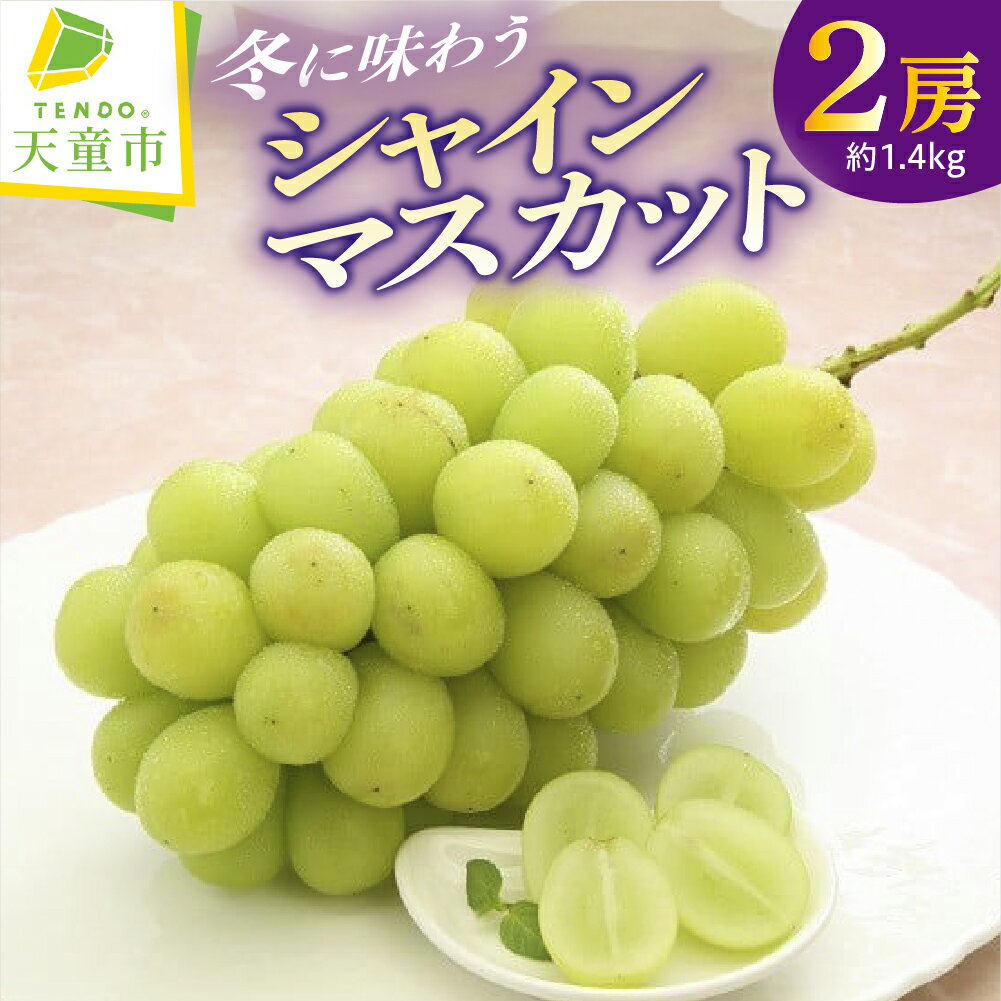 【ふるさと納税】 冬に味わう『シャインマスカット』 1.4kg マスカット ぶどう 葡萄 くだもの フルーツ のし 贈答用 お取り寄せ グルメ ギフト プレゼント 送料無料 先行予約 【 山形県 天童市 】