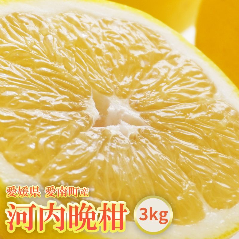 【ふるさと納税】 河内晩柑 約3kg お試し おためし 晩柑 かわちばんかん 柑橘 和製 グレープフルーツ 国産 愛媛 みかん 果物 果実 フルーツ アイランド マルエム 直販 おいしい ビタミン 傷 規格外 不揃い 愛媛県 愛南町 お届け：2025年6月1日〜8月上旬 (なくなり次第終了)