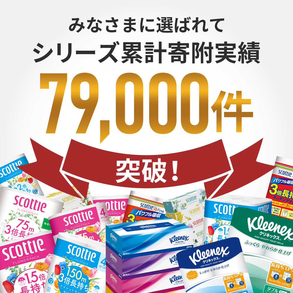 定期便 トイレットペーパー ダブル スコッティ 2倍長持ち 72ロール ( 12ロール × 2パック ) 《 4ヶ月ごと 計  3回 》 フラワーパック 香り付き_イメージ2