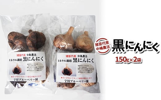 
            [2025年先行予約］黒にんにく 300g ミネラル栽培 中嶋農法 猪苗代町産 自家製栽培 猪苗代 福島 [№5771-1301] ※2025年9月中旬頃より順次発送予定
          