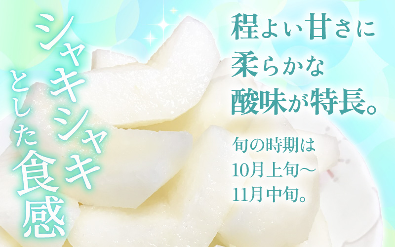 【先行予約】定期便 ≪2回お届け≫ 旬のフルーツ定期便 全2回 シャインマスカットと新興梨『特秀品』 梨園直送！ / 期間限定 果物 フルーツ 農家直送 シャキシャキ もぎたて 旬 お取り寄せ ※20