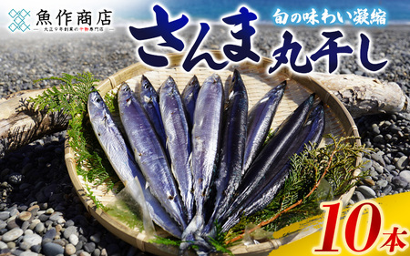 干物 さんま丸干し 10本 干物【uosk0015A】