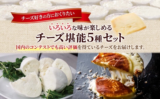 ファットリアビオ 堪能5種セット ｜ ファットリアビオ北海道 チーズ サラミ 食べ比べ 北海道 札幌市