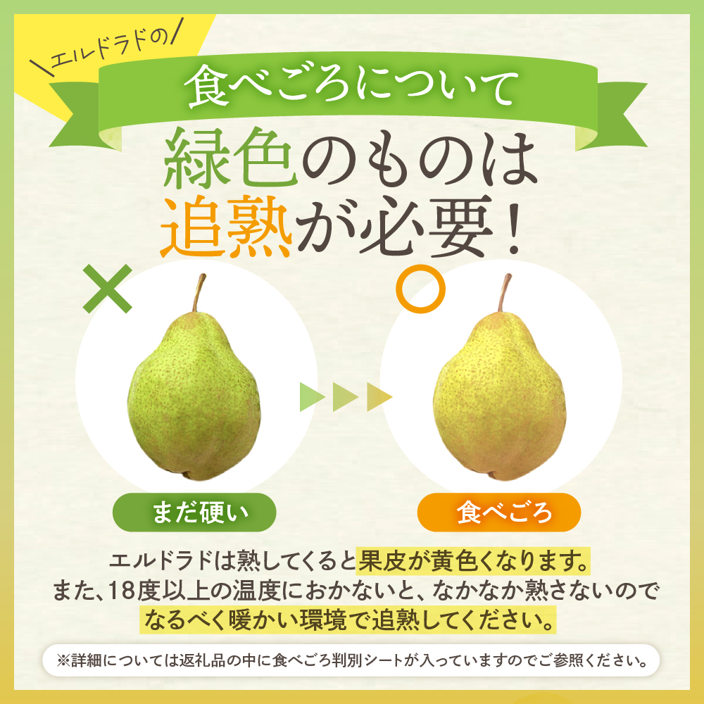 【令和7年産 先行予約】西洋梨エルドラド5kg 山形県 東根市 東根農産センター提供 hi027-197-2