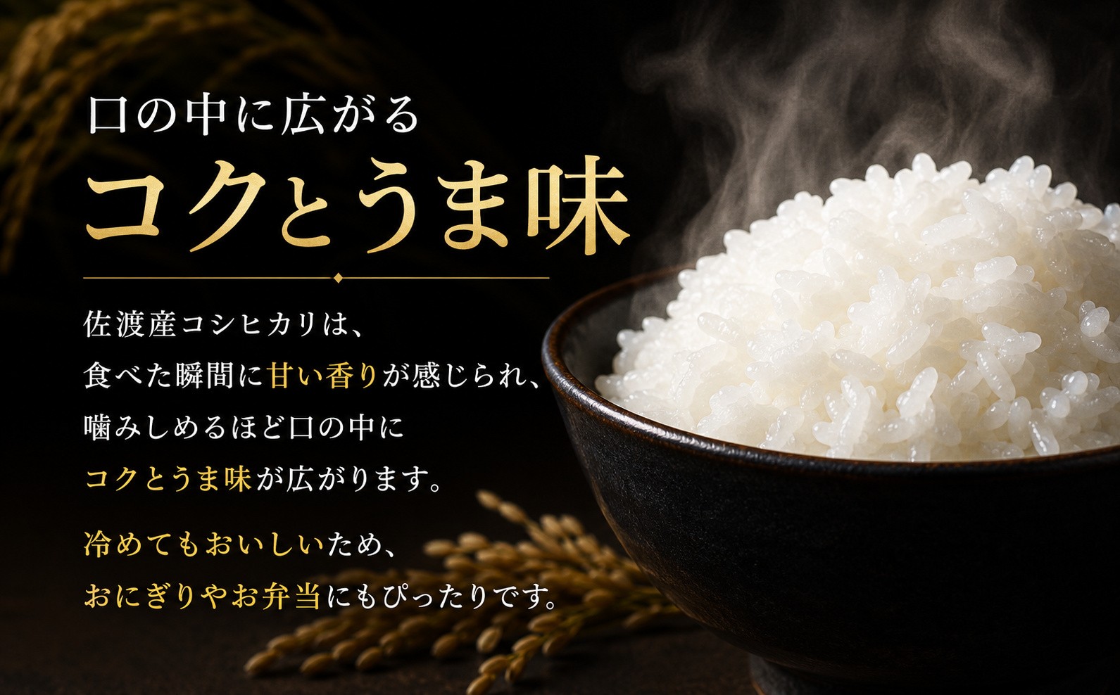 佐渡産コシヒカリ 精米5kg 在来種 