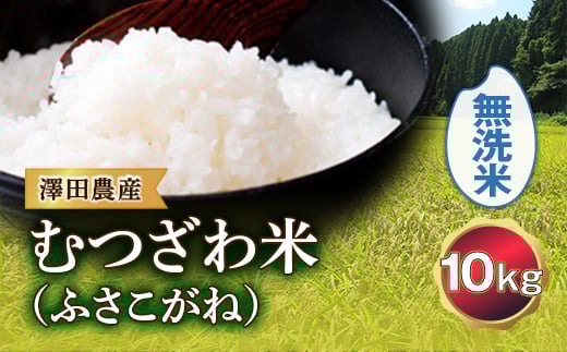 令和5年産米 むつざわ米 （ふさこがね） 無洗米 10kg 澤田農産 F21G-164