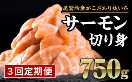 サーモン アトランティックサーモン 【定期便３回】生食用 切り落とし 600g (150g ×4パック) 小分け 鮭 国際規格SQF2000 さけ シャケ しゃけ sake カルパッチョ ソテー レアステーキ 人気 高級 大満足 生食用 刺身 お刺身 刺し身 魚介類 海鮮 冷凍 厚切り 薄切り ふるさと納税 ふるなび 三重県 尾鷲市 OB-f-26