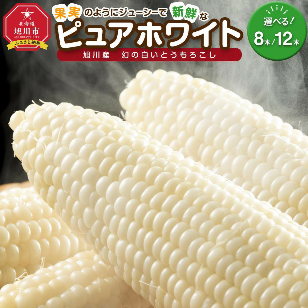 【ふるさと納税】【2026年先行予約】白いとうもろこしピュアホワイト 8本2.4kgor12本3.6kg(2026年8月下旬から発送開始予定) | とうもろこし 白いとうもろこし ピュアホワイト 旬 野菜 夏野菜 冷蔵 甘い 糖度 旭川市ふるさと納税 北海道ふるさと納税 旭川市 北海道 送料無料