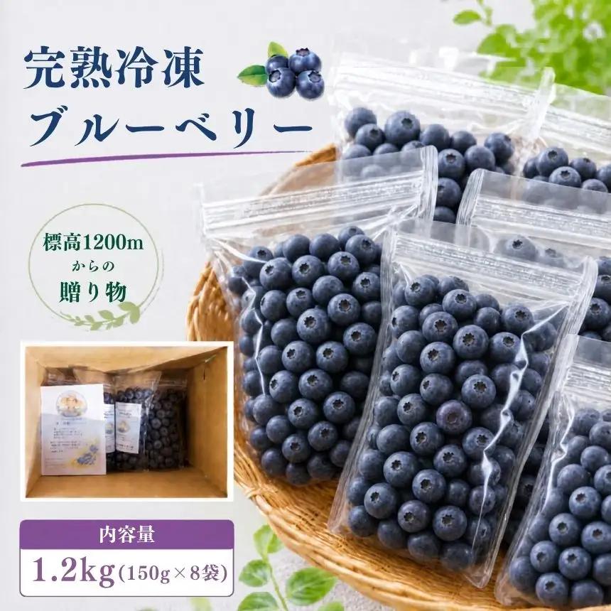 【先行受付】【栽培期間中農薬不使用】標高1200mで育った完熟冷凍ブルーベリー 1.2kg（150g×8パック） 