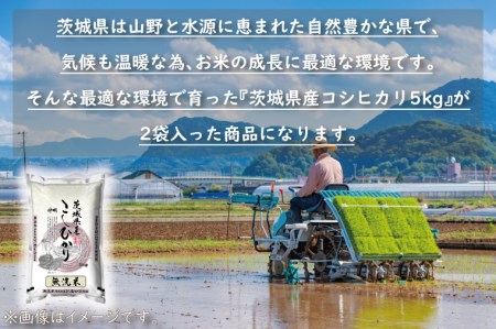 令和5年産  無洗米 茨城 コシヒカリ 10kg (5㎏×２袋) 米 お米 おこめ 白米 ライス ご飯 精米 こしひかり 国産 茨城県産_CU002