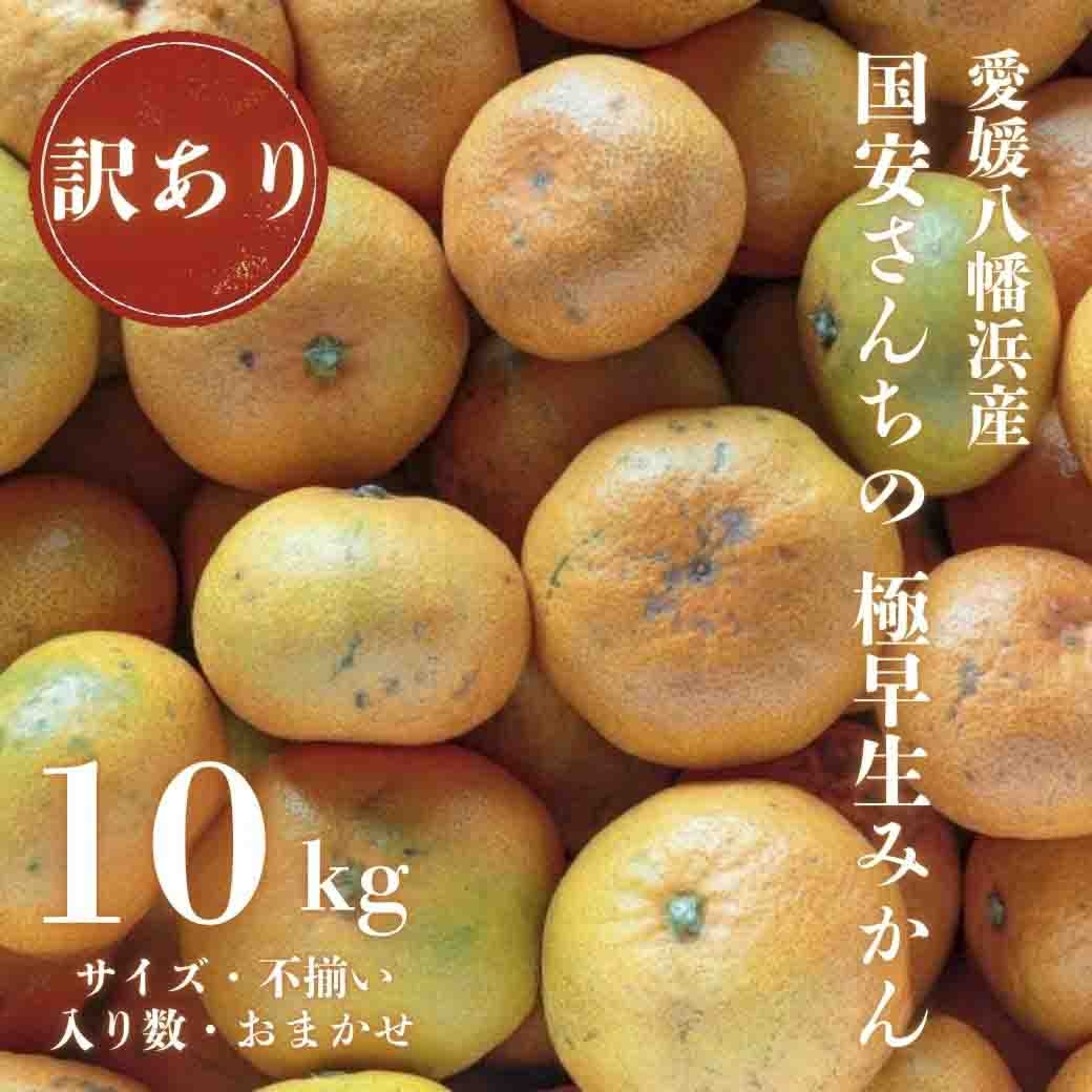 
                  ＜創業85年 親子4代 愛媛みかん 一筋＞愛媛八幡浜産 訳あり極早生みかん 10kg＜D20-47＞【1594916】 YWTI042
                