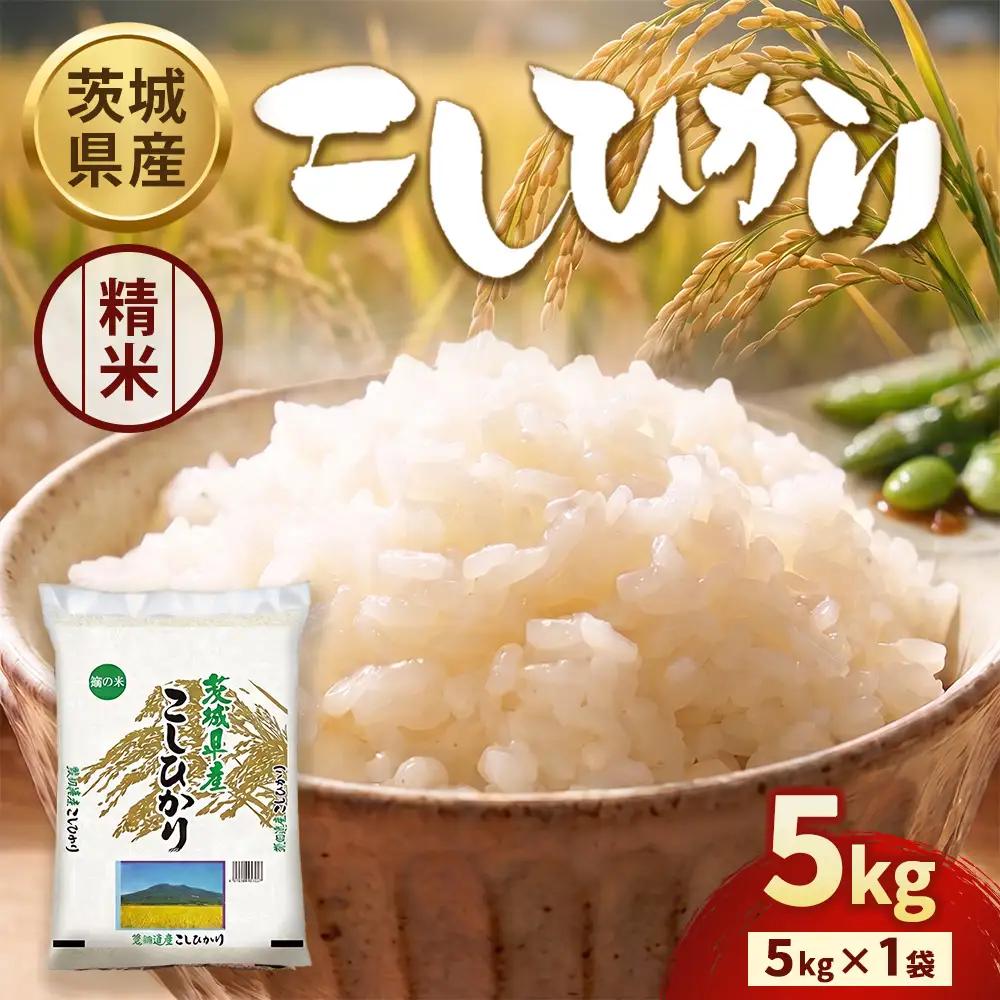 【令和8年産】茨城コシヒカリ 5㎏×1袋【精米】 | お米 米 こしひかり 茨城県産 白米 ブランド米 小分け