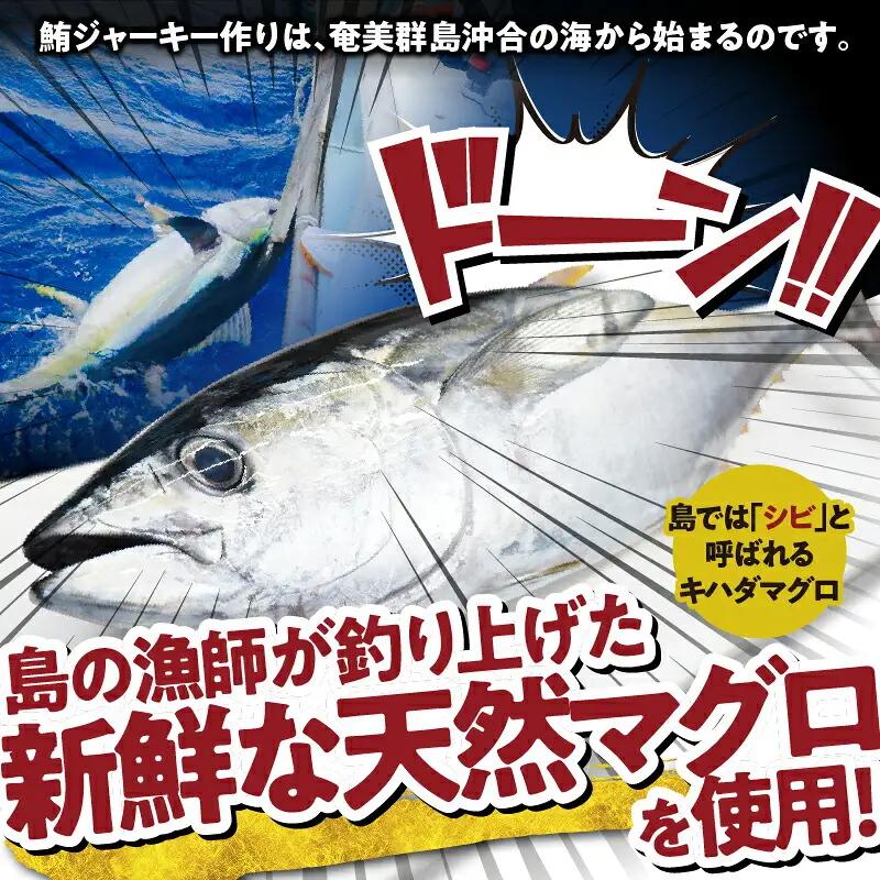 素潜り漁師マサル 監修 「 マグロ の ジャーキー こくまろ味 」 30g × 7袋 W062-012-04 加工品