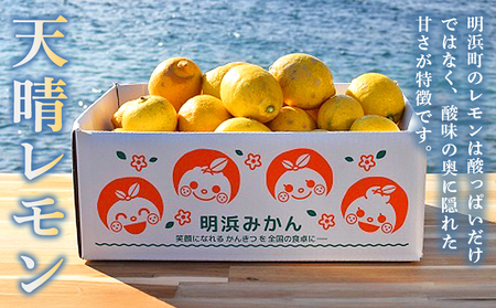 【先行予約】＜天晴レモン ご家庭用 約5kg＞ フルーツ 果物 くだもの レモン れもん 檸檬 柑橘 訳あり わけあり ワケアリ 自宅用 料理 国産 国産レモン 愛媛県産 特産品 株式会社笑丸 愛媛県