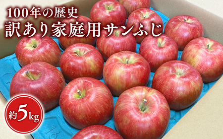 12月発送 100年の歴史 訳あり 家庭用サンふじ 約5kg【田中農園・青森県平川市産・青森りんご】