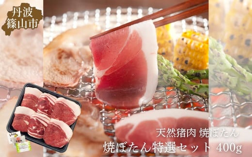 猪肉 国産天然猪肉 焼肉 焼きぼたん 【食べ比べ 特選】(冷凍 400ｇ 2～3人前 薬味付き)  丹波篠山の老舗 おゝみや おおみや いのしし 猪鍋 牡丹鍋 ボタン鍋 ジビエ