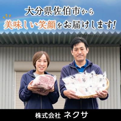 ふるさと納税 佐伯市 下ごしらえ済みおかず バラエティーセット 4種 (1回) |  | 03