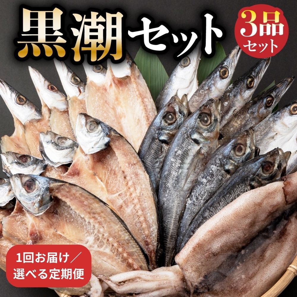 【ふるさと納税】干物 セット 黒潮セット 1回お届け or 定期便 合計6回 全12回 アジ 5枚 カマス 5枚 スルメイカ1枚 国産 室戸海洋深層水仕込み 海鮮 詰め合わせ グルメ ギフト 冷凍 高知県 室戸市