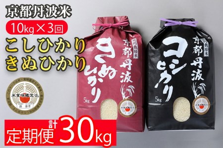 【定期便】訳あり 京都丹波米 10kg（こしひかり5kg ・きぬひかり5kg）×3ヶ月 白米 3回定期便 コシヒカリ・キヌヒカリ 各5kg×3回 計30kg ※精米したてをお届け ※北海道・沖縄・離島