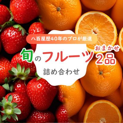 ふるさと納税 長崎市 旬のフルーツセット 季節により厳選した果物を1〜2品目　詰め合わせ