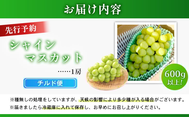 【2025年先行予約】《2025年10月上旬～11月下旬出荷》 宮城県丸森町産 シャインマスカット　1房(1房 600g以上)