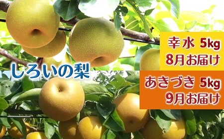 【今夏秋収穫分先行予約】梨 2品種セット 幸水とあきづき 各5kg しろいの梨 予約受付 甘い 美味しい シャリシャリ みずみずしい 果汁たっぷり