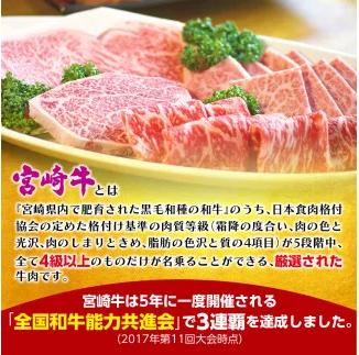 宮崎牛ロースうす切り（1kg） N061-YZE013_イメージ2