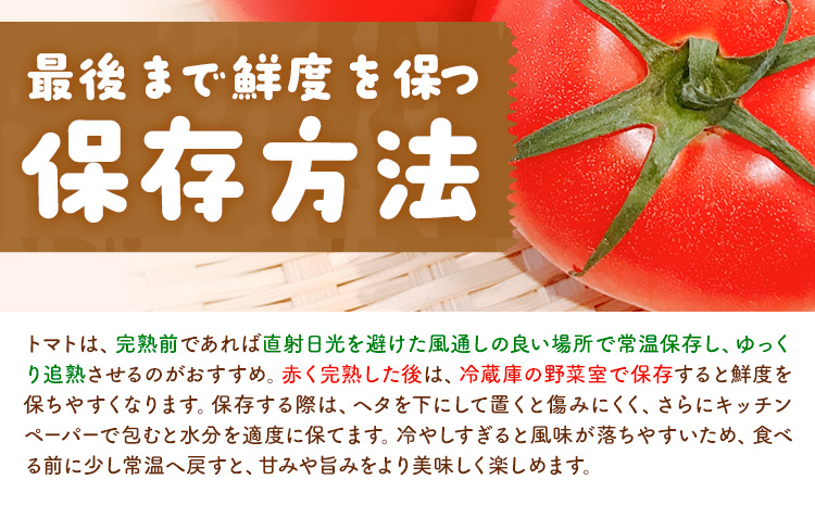 【大津アグリラボ】大玉トマト かれん 約2kg 株式会社中九州クボタ《10月上旬-6月下旬頃出荷》熊本県 大津町 トマト 大玉 野菜---oz_nkb_2_2kg---