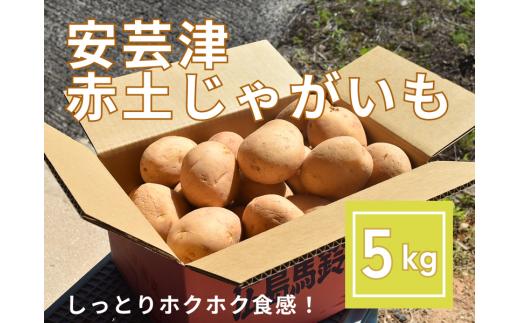 【予約商品】安芸津　赤土じゃがいも　５kg【配送時期：6月上旬～8月上旬／11月下旬～1月上旬】