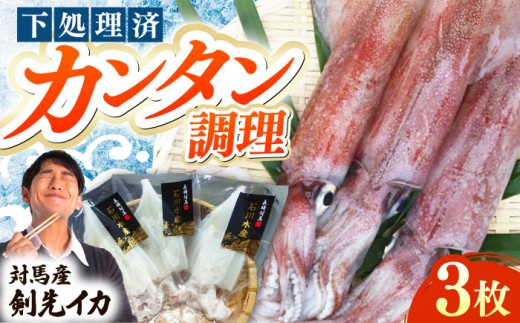 【対馬産】 剣先 イカ （ 生 冷凍 ）3枚 《対馬市》【石川水産】刺身 塩辛 鮮度抜群 海鮮 [WAB003]冷凍 新鮮 下処理 刺身 海鮮 剣先いか あかいか まるいか  おつまみ もう1品 真空