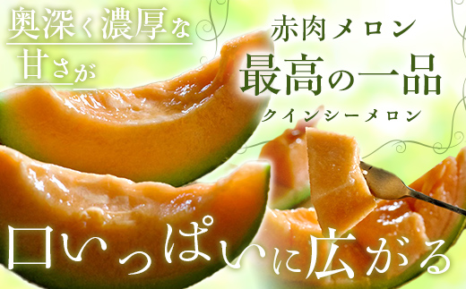 【2025年8月以降発送】クインシー（赤肉）1玉 MKWAG002